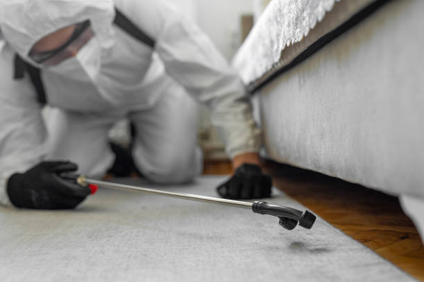 Professional Bed Bug Control technician working in Christopher, IL