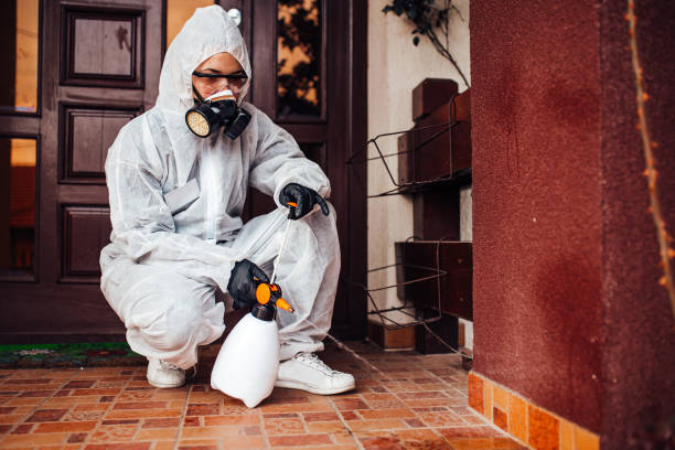 Reliable Bed Bug Control contractor in Christopher, IL by Nex Pest Control